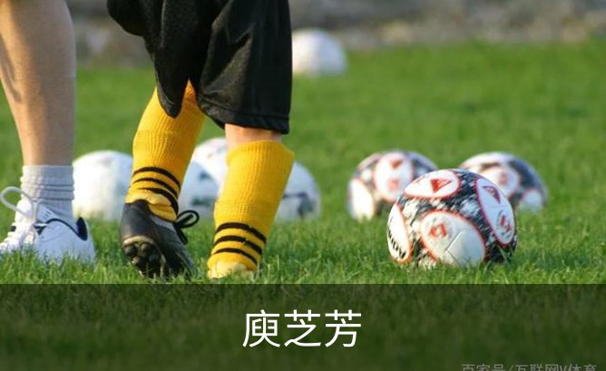 关于庾芝芳
